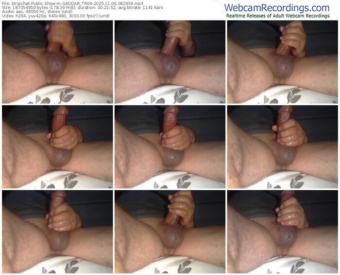 stripchat-gaddar_tr06-11-06-2025-08-29-39