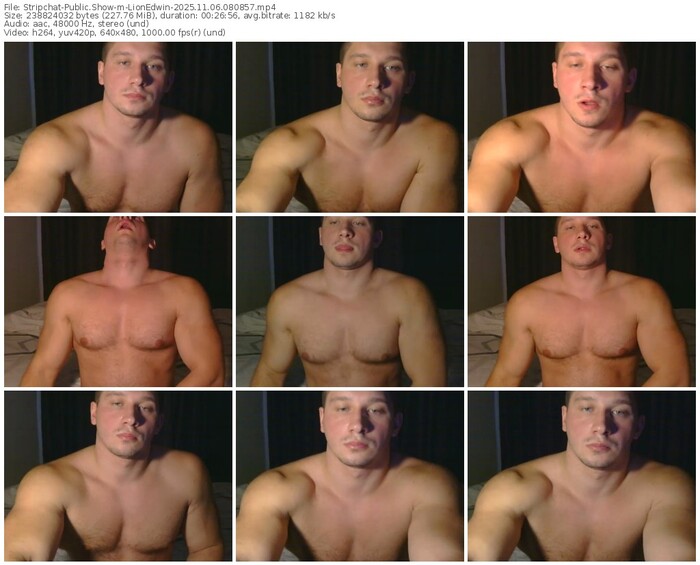 stripchat-lionedwin-11-06-2025-08-08-57