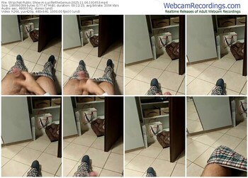 stripchat-luciferthegenius-11-06-2025-19-16-53