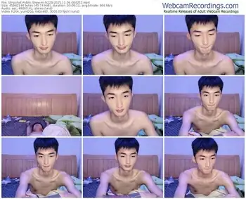 stripchat-n228-11-06-2025-08-42-52