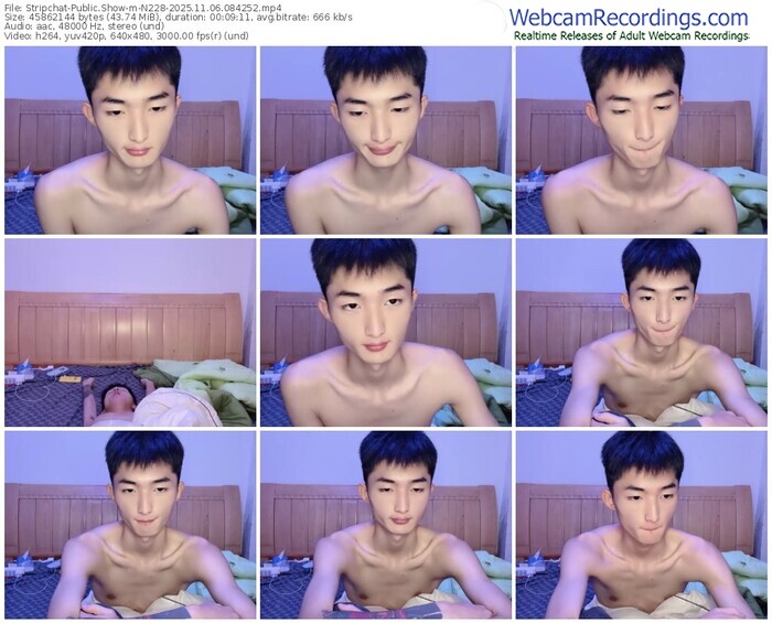 stripchat-n228-11-06-2025-08-42-52