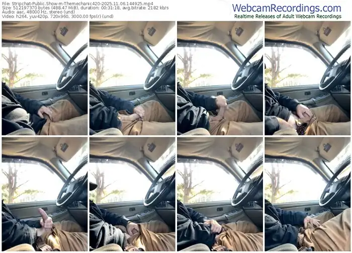 stripchat-themechanic420-11-06-2025-14-49-25