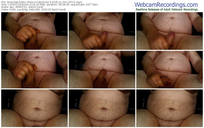 stripchat-tobydick13-11-06-2025-12-47-21
