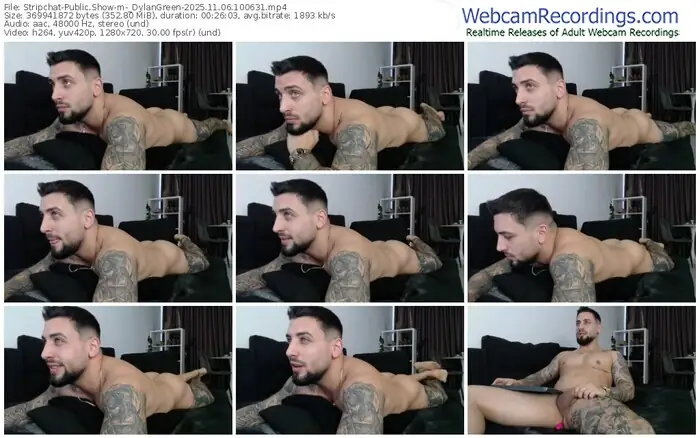 stripchat-_dylangreen-11-06-2025-10-06-31
