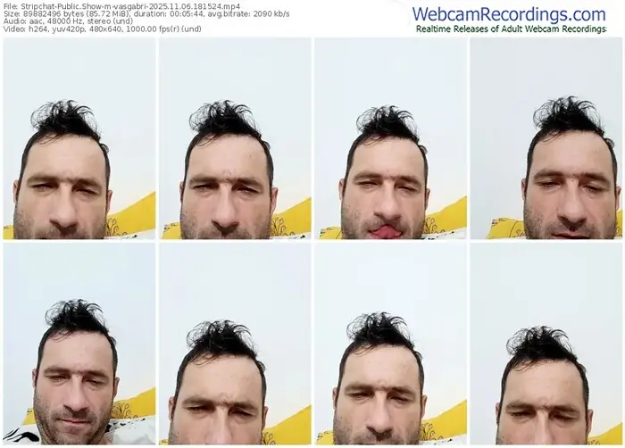 stripchat-vasgabri-11-06-2025-18-15-24