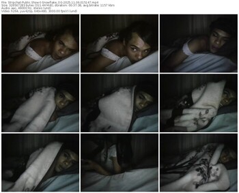 stripchat-snowflake_og-11-06-2025-01-51-47