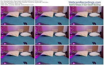 stripchat-april_nick299-11-07-2025-00-31-13