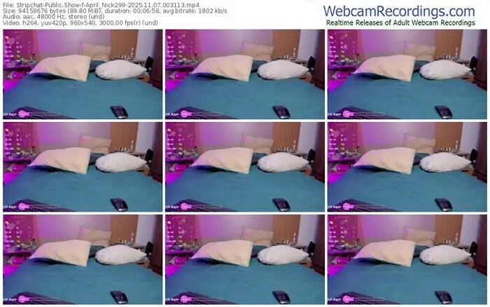 stripchat-april_nick299-11-07-2025-00-31-13