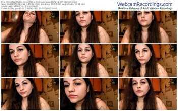 stripchat-dierdrecousineau-11-07-2025-16-01-46