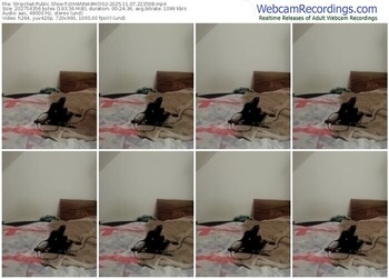 stripchat-johanna9moi02-11-07-2025-22-35-08