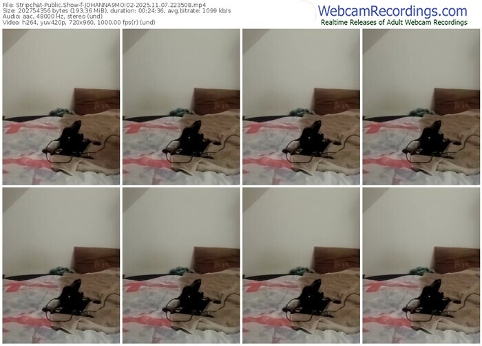 stripchat-johanna9moi02-11-07-2025-22-35-08