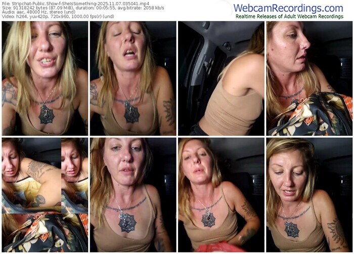stripchat-sheissomething-11-07-2025-03-50-41