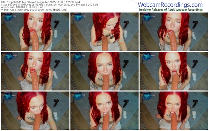 stripchat-eva_miler-11-07-2025-11-29-38