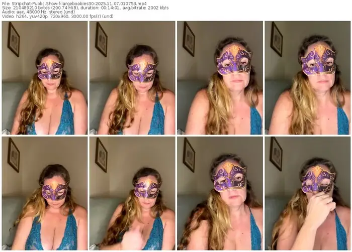 stripchat-largeboobies30-11-07-2025-01-07-53