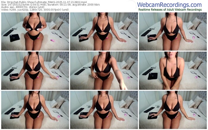 stripchat-ultimate_pawg-11-07-2025-21-28-02