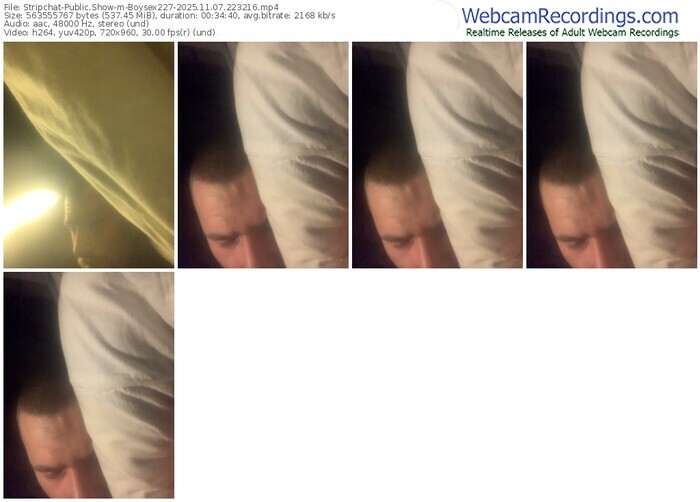 stripchat-boysex227-11-07-2025-22-32-16