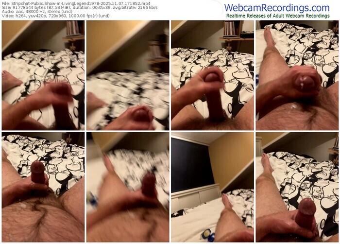 stripchat-livinglegend1978-11-07-2025-17-18-52