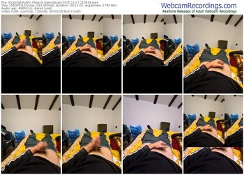 stripchat-samoskupo-11-07-2025-21-54-38