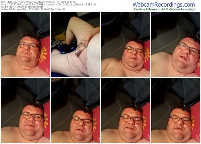 stripchat-tataurs-11-07-2025-18-22-32