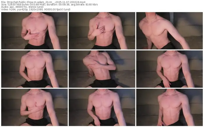 stripchat-adam_21cm__-11-07-2025-20-32-24