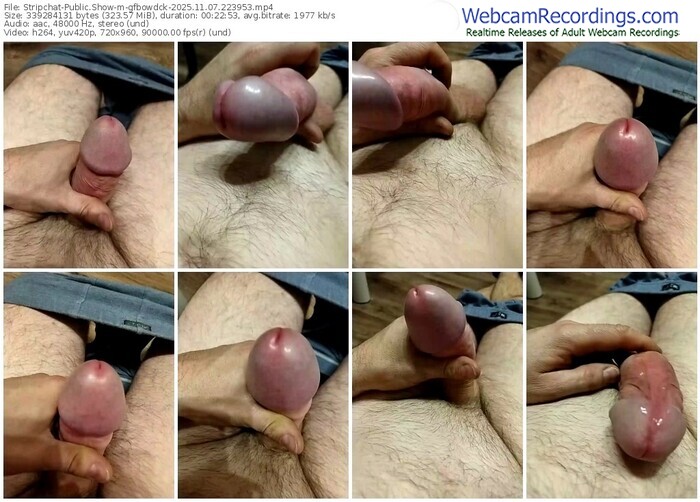 stripchat-gfbowdck-11-07-2025-22-39-53