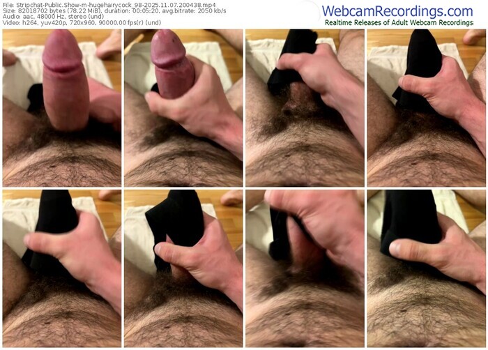 stripchat-hugehairycock_98-11-07-2025-20-04-38