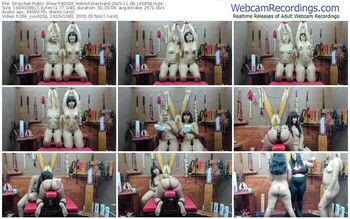 stripchat-bdsm_nolimitssexhard-11-08-2025-14-08-58