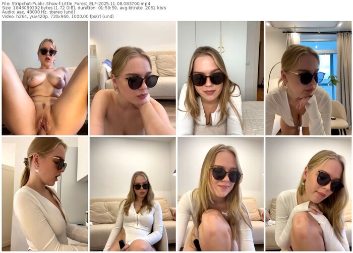 stripchat-little_forest_elf-11-08-2025-08-37-00