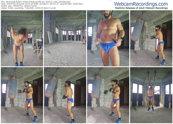 stripchat-mariusvidican-11-08-2025-12-00-28
