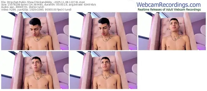 stripchat-nickandabby_-11-08-2025-12-27-41