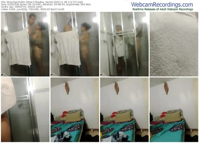 stripchat-shadow_secret-11-08-2025-11-17-47