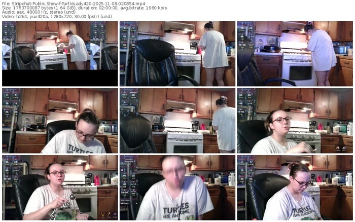 stripchat-turtlelady420-11-08-2025-02-08-54