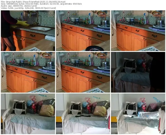 stripchat-venered-11-08-2025-06-51-29