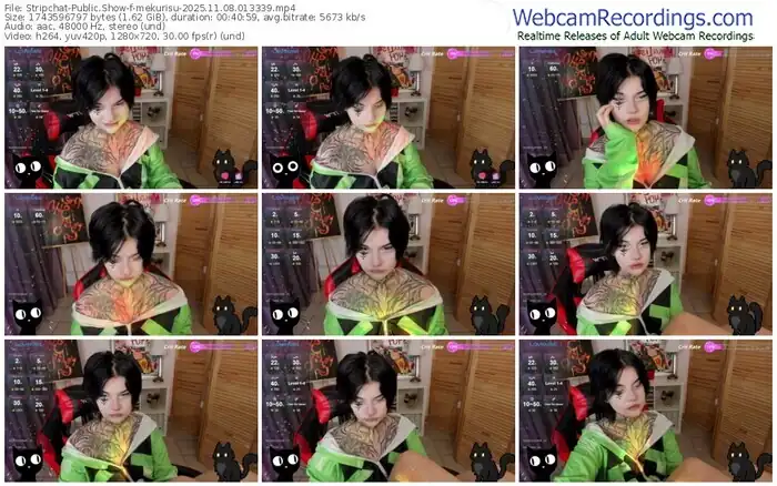 stripchat-mekurisu-11-08-2025-01-33-39
