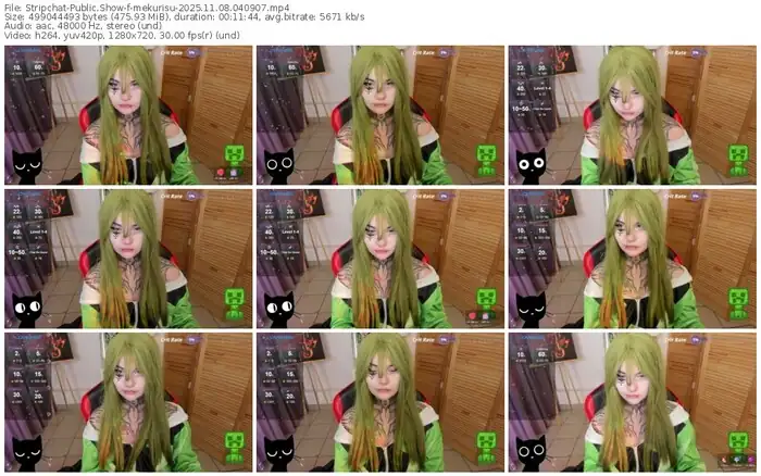 stripchat-mekurisu-11-08-2025-04-09-07