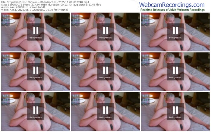 stripchat--ethan7inches--11-08-2025-03-22-48