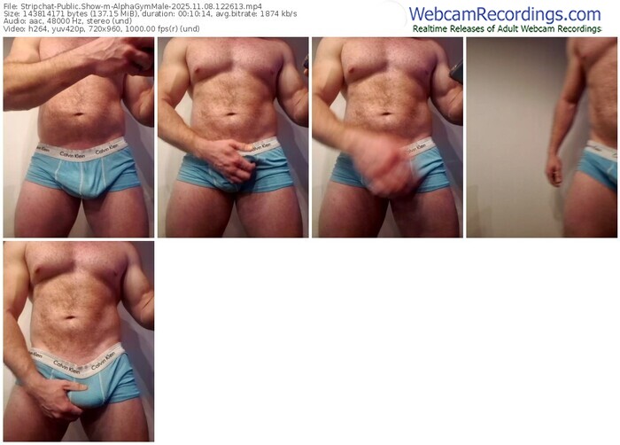 stripchat-alphagymmale-11-08-2025-12-26-13