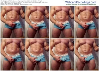 stripchat-alphagymmale-11-08-2025-13-10-47