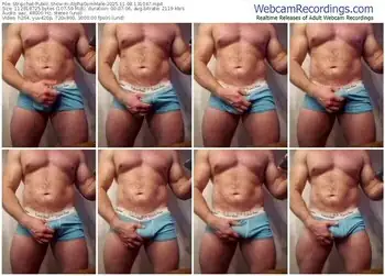 stripchat-alphagymmale-11-08-2025-13-10-47