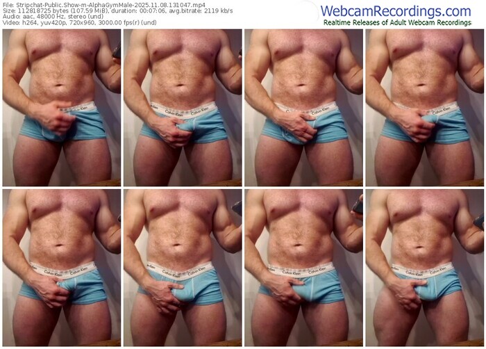 stripchat-alphagymmale-11-08-2025-13-10-47