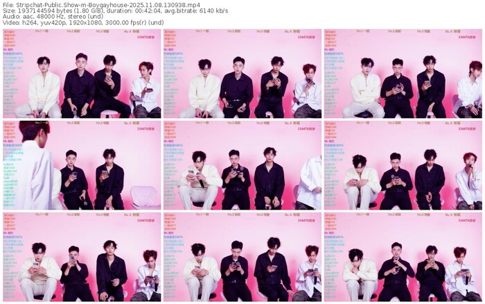 stripchat-boygayhouse-11-08-2025-13-09-38