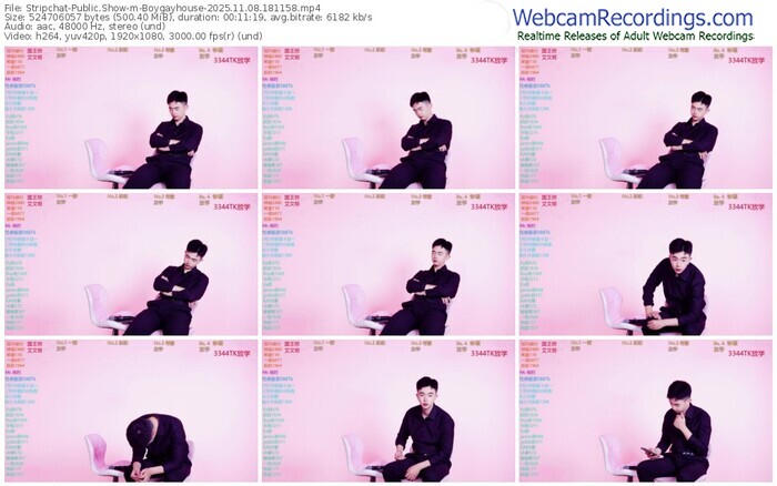stripchat-boygayhouse-11-08-2025-18-11-58