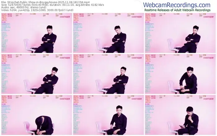 stripchat-boygayhouse-11-08-2025-18-11-58
