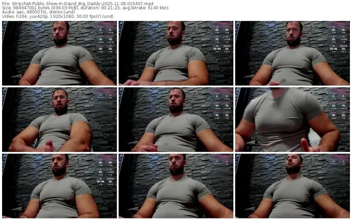 stripchat-david_big_daddy-11-08-2025-01-54-07