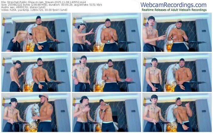 stripchat-iam_steven-11-08-2025-14-05-52