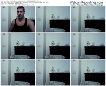 stripchat-lambe91-11-08-2025-16-53-17