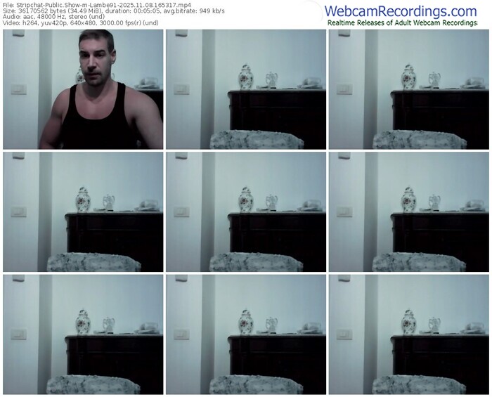 stripchat-lambe91-11-08-2025-16-53-17