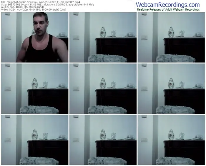 stripchat-lambe91-11-08-2025-16-53-17