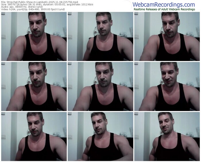 stripchat-lambe91-11-08-2025-21-57-59