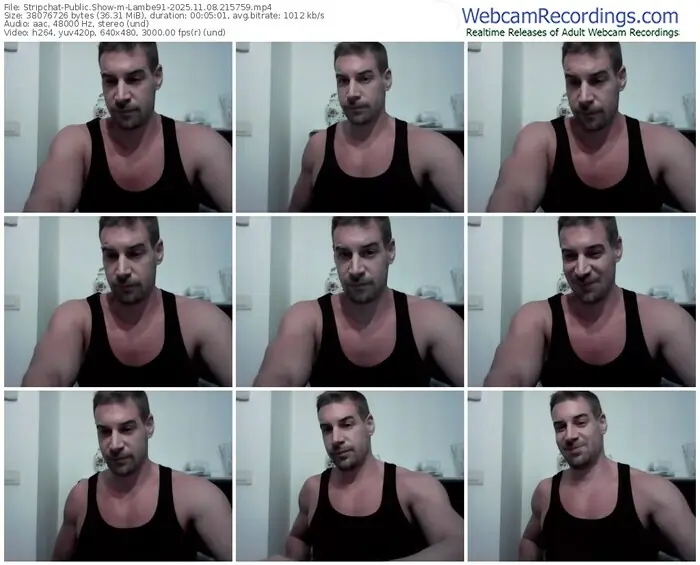 stripchat-lambe91-11-08-2025-21-57-59